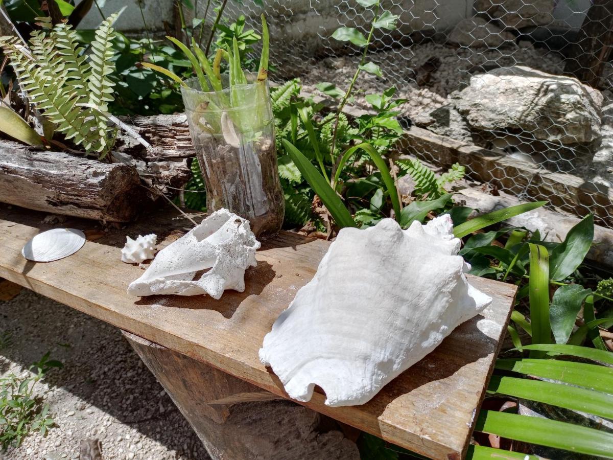 Mi Cuartito En Bacalar Exterior foto