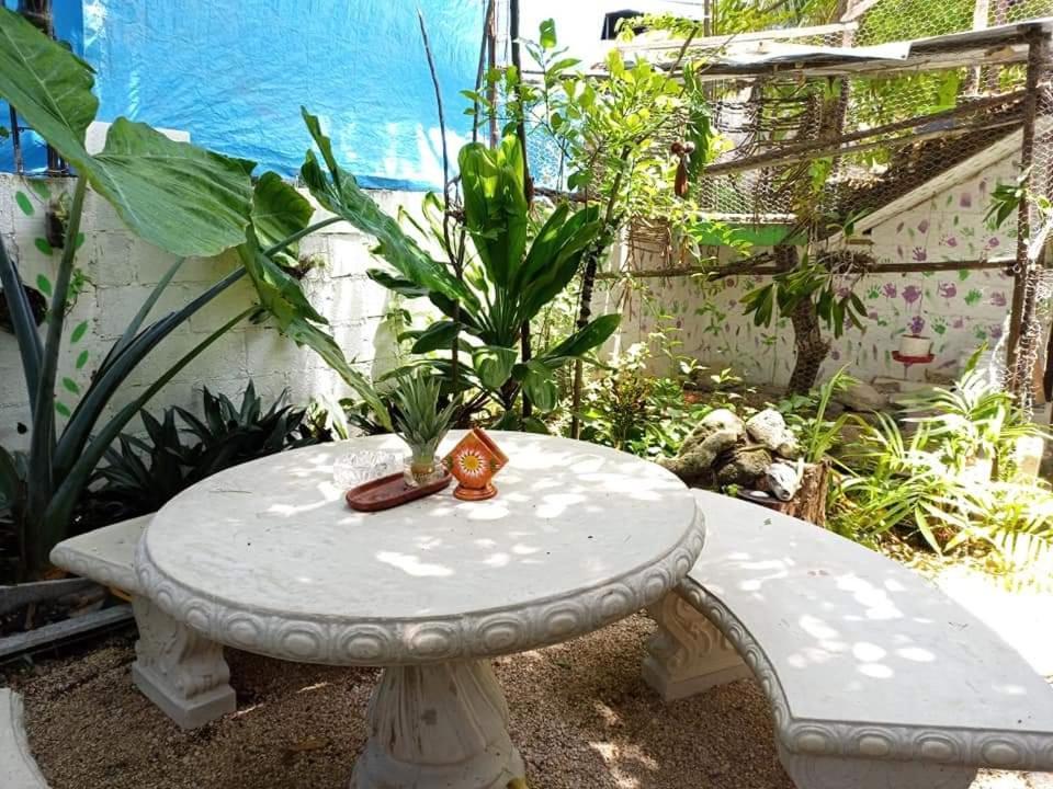 Mi Cuartito En Bacalar Exterior foto